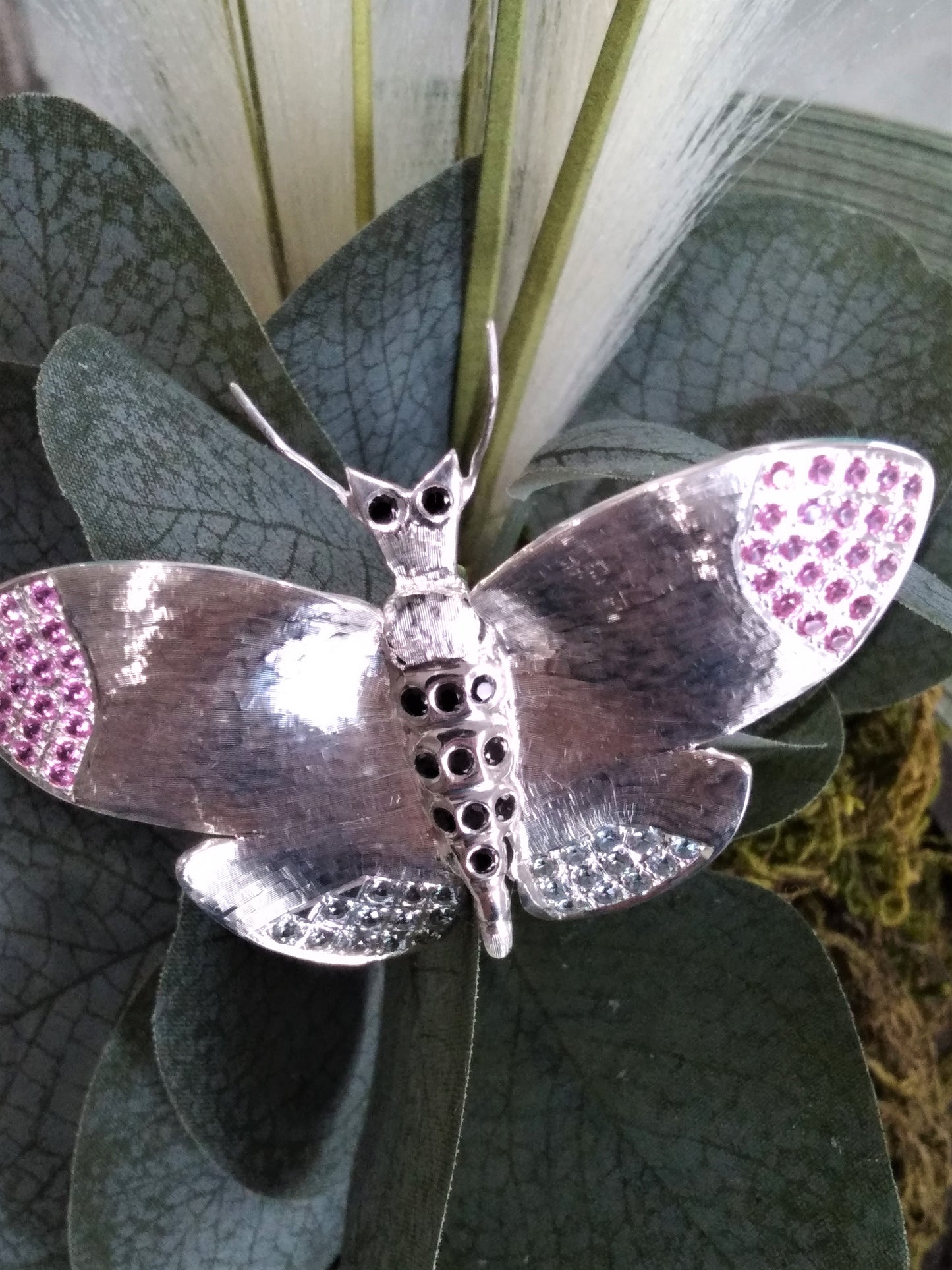 Sterling Silver Butterfly Display