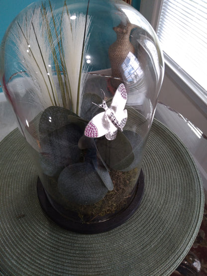 Sterling Silver Butterfly Display